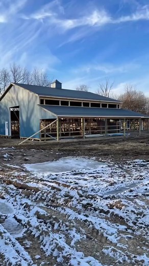 Barn Layout Part 1: Designing Your Dream Space