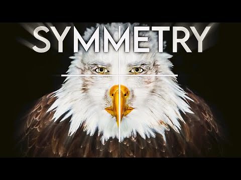 Symmetry face meme