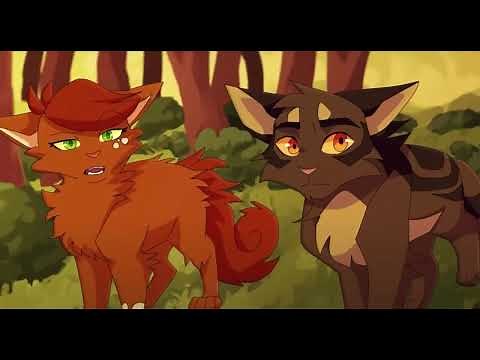 22 MINUTES OF FUNNY LAUGHER! || warrior cats