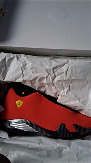 Had To Get These in My Collection! Air Jordan 14 "Ferrari" (2025)