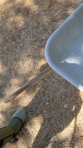 Watch Best yard worker on Amazon Live