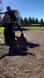 Trick Roping Thursday! Kylyn Watkins #leadwithlonestar #trickropingthursday | Lone Star Ropes