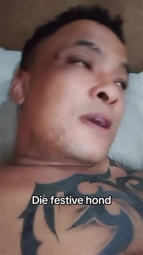 Discover the Joy of Festive Dogs at Pikes Production