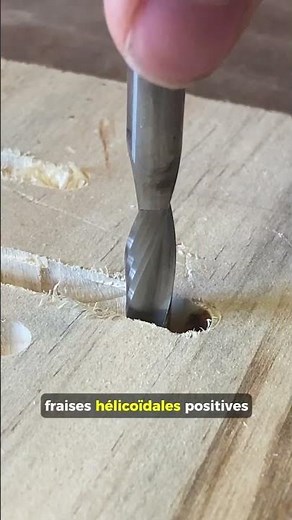 The different router bits