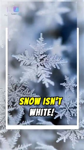 Why Snow Looks White?