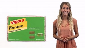 Vigoro 100 sq. ft. Premium Long Leaf Bagged Pine Straw Mulch 2001