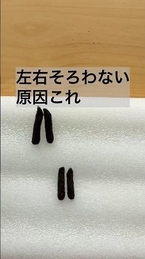 手足がバラバラになる人へ｜左右ぴったり揃う簡単な作り方【羊毛フェルト】