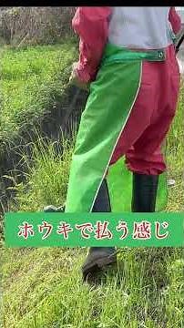 ガード下の危険なナイロンコード草刈り #草刈り