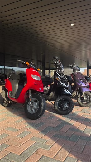 Zip 183 vs. Typhoon 70: An Epic Showdown