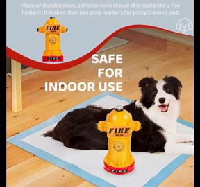 2025 New Potty Training Dog Fire Hydrant, Mini Resin Dog Fire Hydrant, Fake Fire Hydrant for Dogs to Pee On, Training Tool, Yard Garden Indoor Lawn Ornament Outdoor Statue (Red)