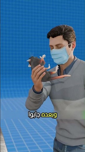 تجربة الفار والمخدرات😨#اكسبلور #معلومات #معلومات_عامة #حقائق #موسوعة_غينيس