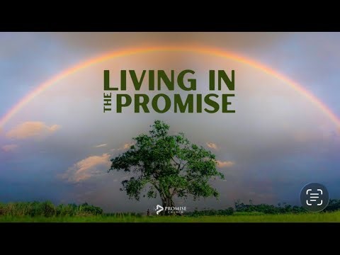 LIVING IN THE PROMISE | WEEK 1
