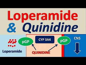 Loperamide and Quinidine - Drug interaction
