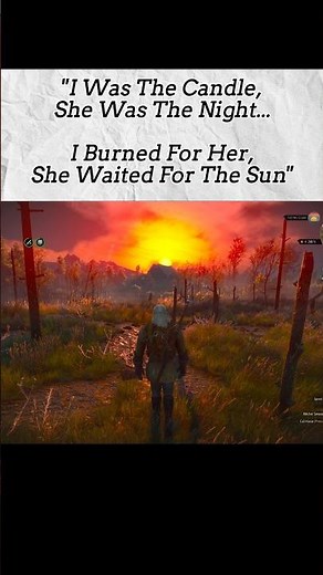Beauty Of The Witcher lll Wild Hunt #games #gameshorts #thewitcher