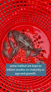 18K views · 224 reactions | Have you ever wondered about the research...