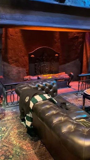 The Slytherin Common Room