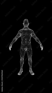 xray human body motion