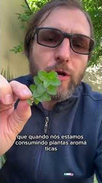 MEDICINAL PLANTS for the FLU: How to RELIEVE SYMPTOMS NATURALLY | FIND OUT NOW #health