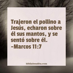 Explicación Marcos 11:7. 'Trajeron el pollino a Jesús, echaron sobre él sus mantos, y se sentó sobre él.' - BibliaBendita