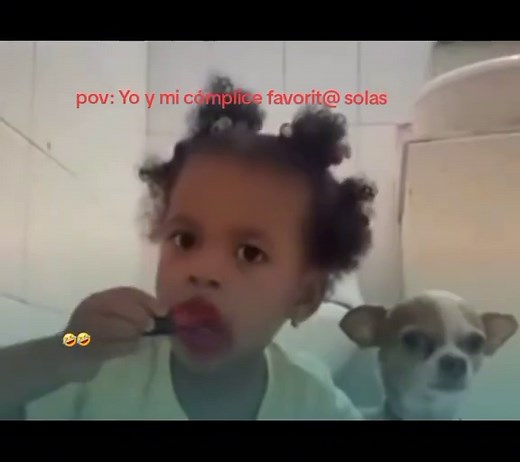 Firulais quieto, te pondré bonito