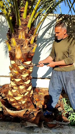 حسابات مقترحة