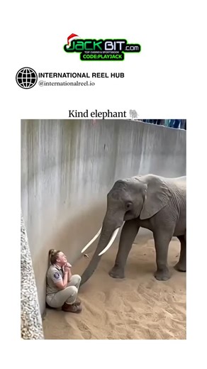 🌍 INTERNATIONAL REEL HUB on Instagram: "The post shares a 12-second AI-generated video of a baby elephant gently nuzzling and comforting a seated zookeeper in a sandy enclosure, paired with emotional emojis that drove 3.8 million views and 11,000 likes within a day. Viewers spotted inconsistencies like the elephant's tusks vanishing mid-clip and a shift from African (tusked) to Asian (tuskless) features, sparking replies labeling it as fake AI and critiques of such content. As part of a 2025 tr
