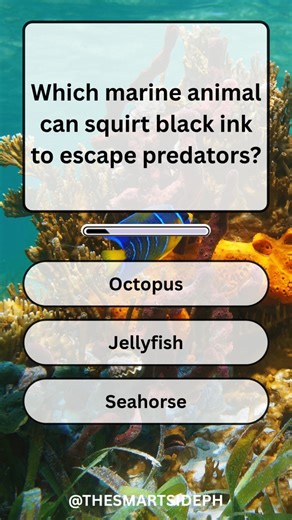 1.4K views · 226 reactions | Splash of Knowledge Dive Into the Ocean Quiz! #quiztime #quizchannel #dailyquiz #funquiz #triviatime #quizchallenge #brainquiz #knowledgecheck #smartquiz #quizgame #mindtest #triviafun #quizcontent #questionoftheday #quizmaster #testyourknowledge #quizvideo #learningfun #quizbuzz #quickquiz | The Smart Side PH | Facebook