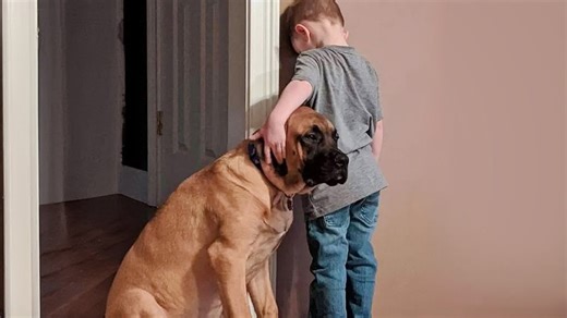 Dogs arrive as angels instead of wings sometimes