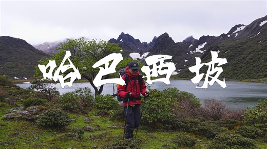 【4K】徒步云南小众秘境哈巴西坡