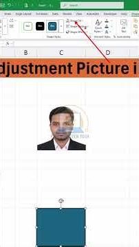 Picture Adjust in Excel | Resize, Crop & Format Images | Excel Tutorial Bangla