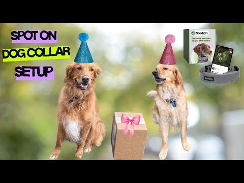 👉 Setting Up the SpotOn GPS Dog Collar | Wireless Fence & First Impressions