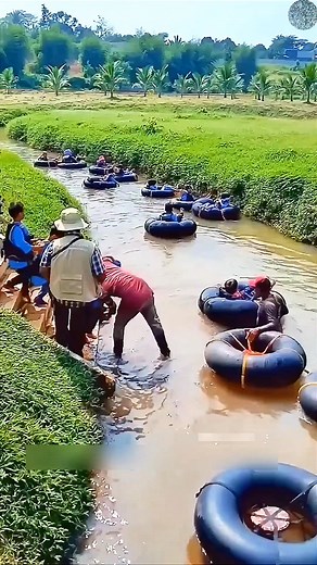 207K views · 844 reactions | How do people in Vietnam grow coconuts? Shorts #coconut #fbreels #farming ALOK Facebook for Creators | ALOK | Facebook