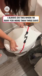 4.9M views · 9.3K reactions | Only in Florida 浪 | Lessons Learned In Life | Facebook