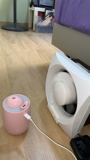 Humidifier vs exhaust fan