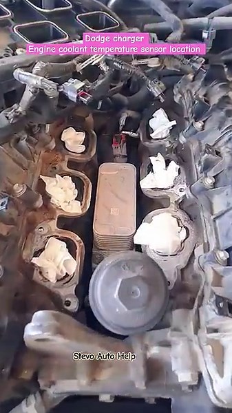 2015 Dodge charger. Engine oil temperature sensor location. #dodgecharger #dodgecharger