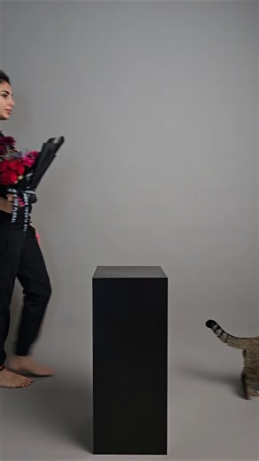 Studio Conditions | Modern Floral Installation #florist