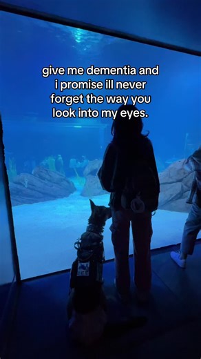 Cherishing Memories with My Baby Girl: A German Shepherd