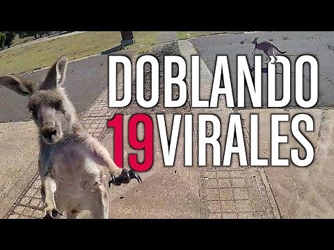 DOUBLING VIRALS 19 *NEW*