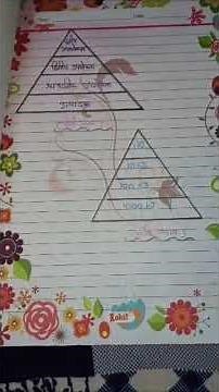 class 10th science project work chapter 15 Our Environment ( हमारा पर्यावरण )