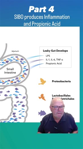 Understanding SIBO and Leaky Gut in Children