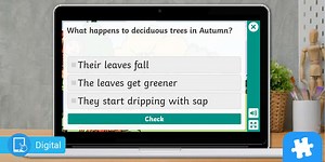 Fun Interactive Autumn Quiz