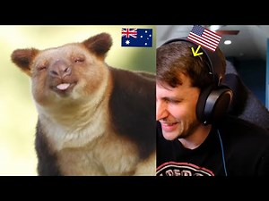 American reacts to photos that show just how UNIQUE Australia really is