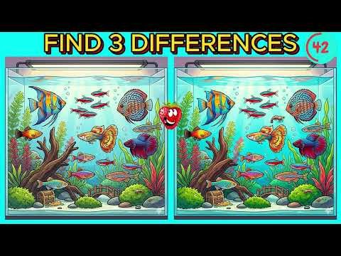 Find 3 Hidden Differences 🔍 Train Your Observation Skills Now!