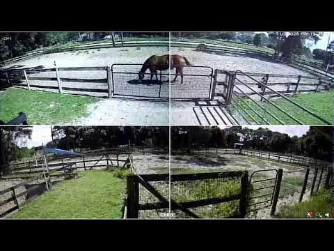 Ultimate Acres FarmCam 11/2/2025 AM