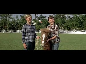 Misty (1961) [widescreen]