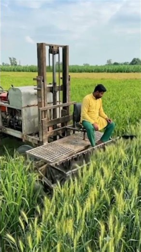 Smart Wheat Harvesting Machine in Action 🌾🚜