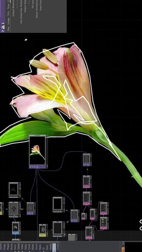 shrimpificati0n on TikTok