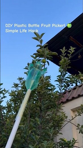 DIY Plastic Bottle Fruit Picker! 🍏 Simple Life Hack