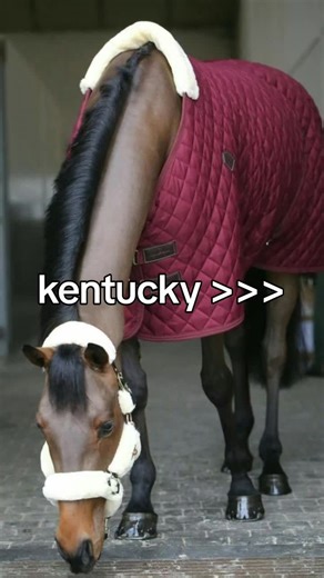 KUPICIE MI CZAPRAK KENTUCKY🙏🙏😭// #KENTUCKY #trend #pro #horse #wibijesie @~🇵🇱Maja J/🇵🇱Zuzanna G~ @Emikay @🇵🇱Zofia.B @𝐧𝐢𝐤𝐨𝐥𝐚🐎 @klaudiss_ @Wer.ci_eq🙈 @☀️zuzka☀️ @jszqsiisaiqq @zxsiaequ._