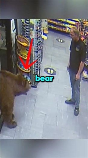 Massive Bear LOVES Stealing Candy From Gas Station (‪@AETV‬)